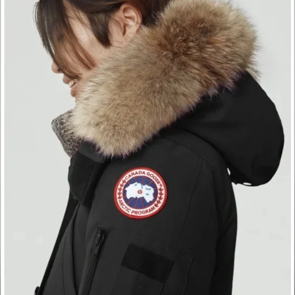 Canada goose. Montebello heritage